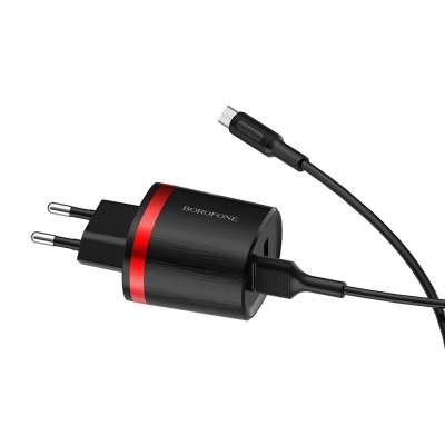 СЗУ + кабель Micro BoroFone BA7A FlashPlug 2 port
